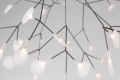 Heracleum II Suspended MOOOI