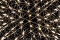 RAIMOND MOOOI