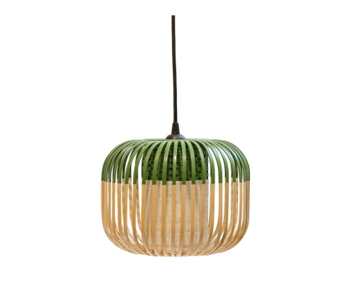 Bamboo xs Forestier