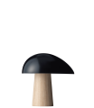 Lampa stołowa NIGHT OWL Fritz Hansen ash + blue