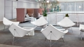 Fotel COCONUT Vitra