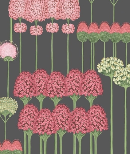 Tapeta ALLIUM 115/12037 Cole&amp;Son
