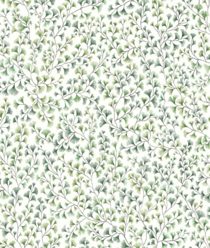 Tapeta MAIDENHAIR 115/6018 ColeSon