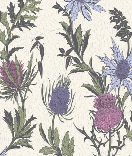 Tapeta THISTLE 115/14044 ColeSon