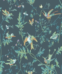 Tapeta HUMMINGBIRDS 112/4014 Cole&Son