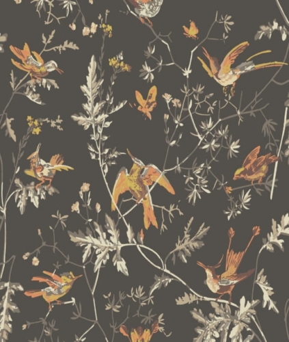 Tapeta HUMMINGBIRDS 112/4017 ColeSon