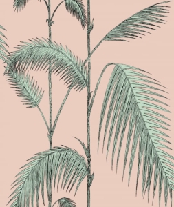 Tapeta PALM LEAVES 112/2005 Cole&Son