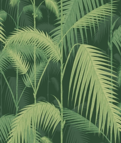 Tapeta PALM JUNGLE 112/1003 ColeSon