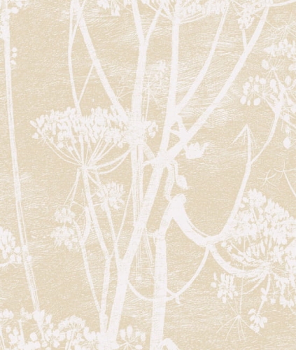 Tapeta COW PARSLEY 66/7049 Cole&amp;Son