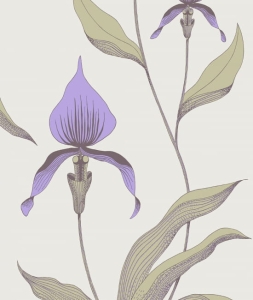 Tapeta ORCHID 66/4024 Cole&Son