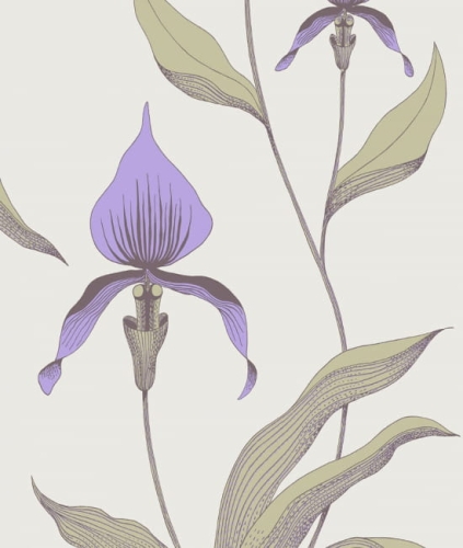 Tapeta ORCHID 66/4024 ColeSon