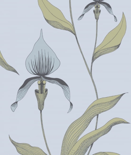 Tapeta ORCHID 66/4026 ColeSon