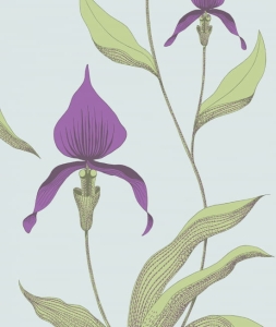 Tapeta ORCHID 66/4027 Cole&Son