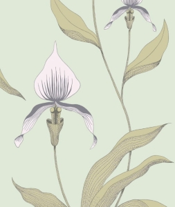 Tapeta ORCHID 66/4028 Cole&Son