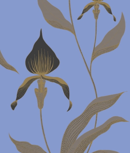 Tapeta ORCHID 66/4030 ColeSon