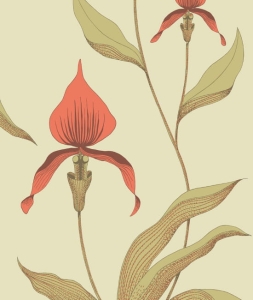 Tapeta ORCHID 66/4033 Cole&Son