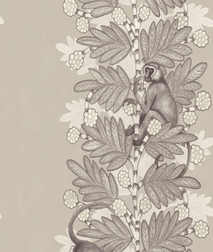 Tapeta ACACIA 109/11054 ColeSon