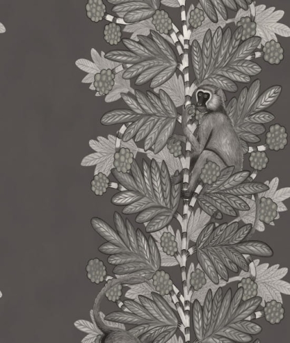 Tapeta ACACIA 109/11055 ColeSon
