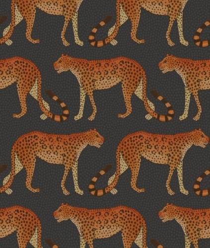 Leopard Walk 109/2008