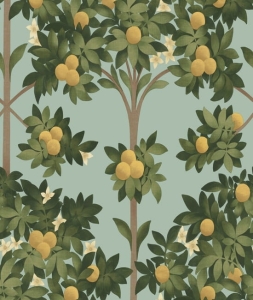 Tapeta ORANGE BLOSSOM 117/1002 Cole&Son