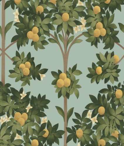 Tapeta ORANGE BLOSSOM 117/1002 ColeSon