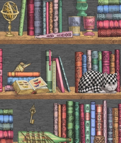 Tapeta LIBRERIA 114/13025 ColeSon