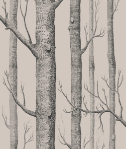 Tapeta WOODS 112/3009 Cole&Son