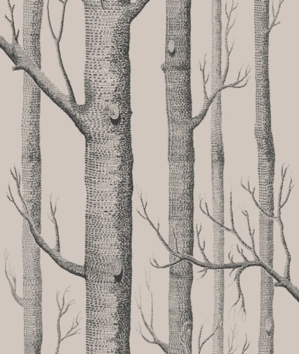 Tapeta WOODS 112/3009 ColeSon