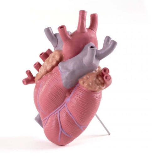 Wazon serce LOVE IN BLOOM COLOR Seletti