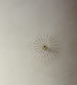 Lampa ścienna SPIDER Aromas