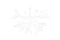 Lampa HERACLEUM III Moooi