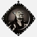 Taca MARGOT Medicis Ibride