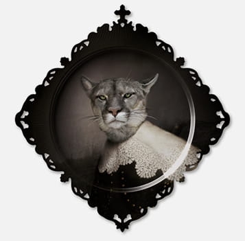 Taca URBIN Medicis Ibride