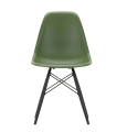 Krzesło EAMES PLASTIC CHAIR DSW forest - black maple