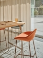 Hoker OYSTER Comforty