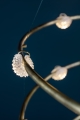 Petits-Bijoux-dett-1.jpg