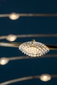 Petits-Bijoux-dett-2.jpg