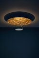 Lederam-C180-gold-on.jpg