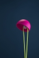 Ale(table)-fluo-dett.jpg