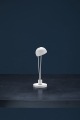 Ale(table)-white-2-off.jpg