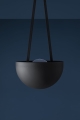 Ale(ceiling)-black-dett.jpg