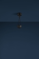 Ale(ceiling)-black-off.jpg