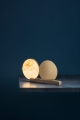 Alchemie(table)-pos3-on.jpg