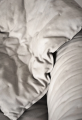 Ortigia 5.png