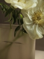 Wazon RIDGE VASE Taupe Frosted Glass, MUUTO